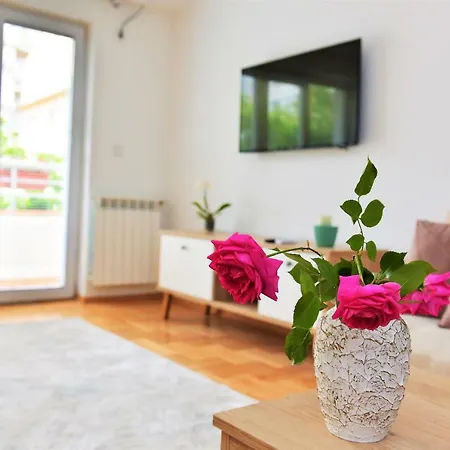 Milica Apartman *